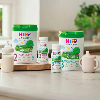 Hipp Organic baby milk products on a kitchen counter