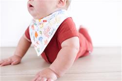 Copper Pearl Bibs Nautical 4 Pack