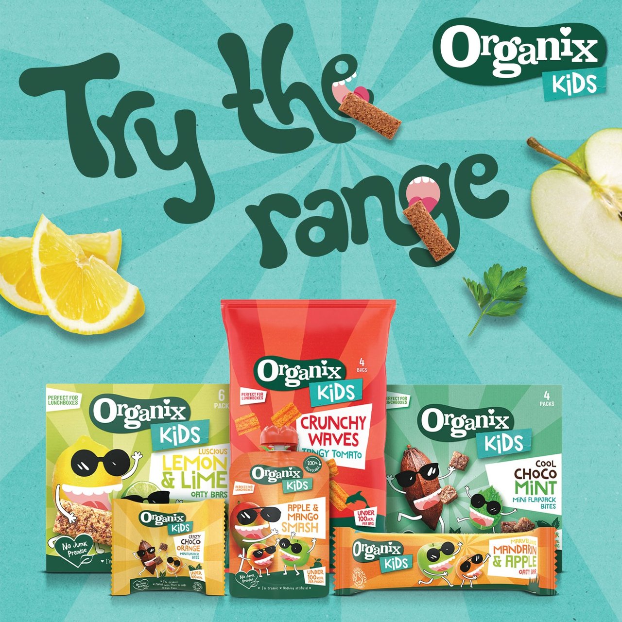 Organix KIDS Cool Choco Mint Mini Organic Flapjack Bites 4 x 23g