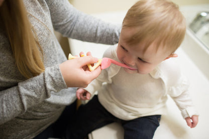 Dr Brown's Toddler Toothbrush Flamingo